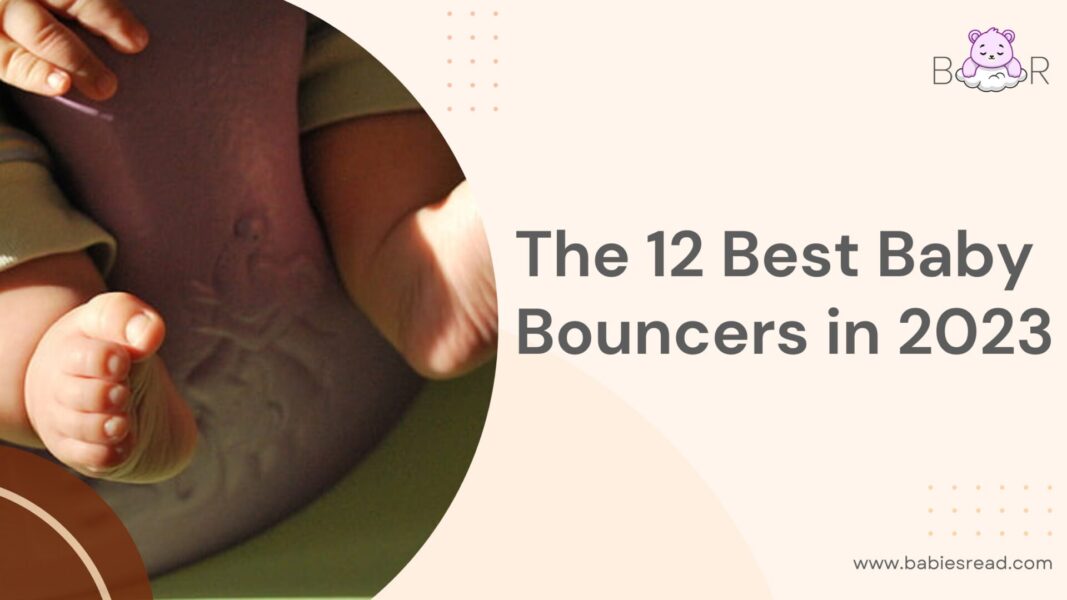 The 10 Best Baby Bouncers to Buy in 2024 [Updated]